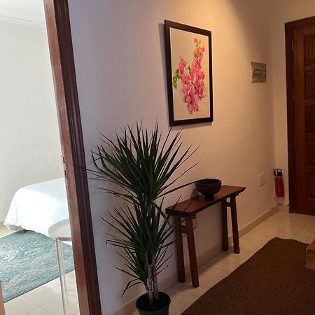 Apartmán Cozy Santa Cruz de Tenerife Exteriér fotografie