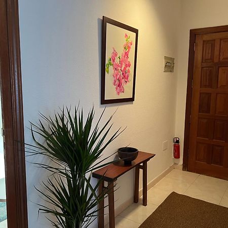 Apartmán Cozy Santa Cruz de Tenerife Exteriér fotografie