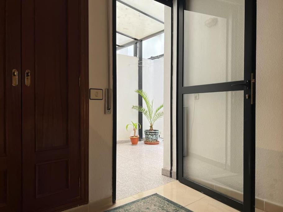 Apartmán Cozy Santa Cruz de Tenerife Exteriér fotografie