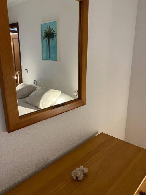 Apartmán Cozy Santa Cruz de Tenerife Exteriér fotografie