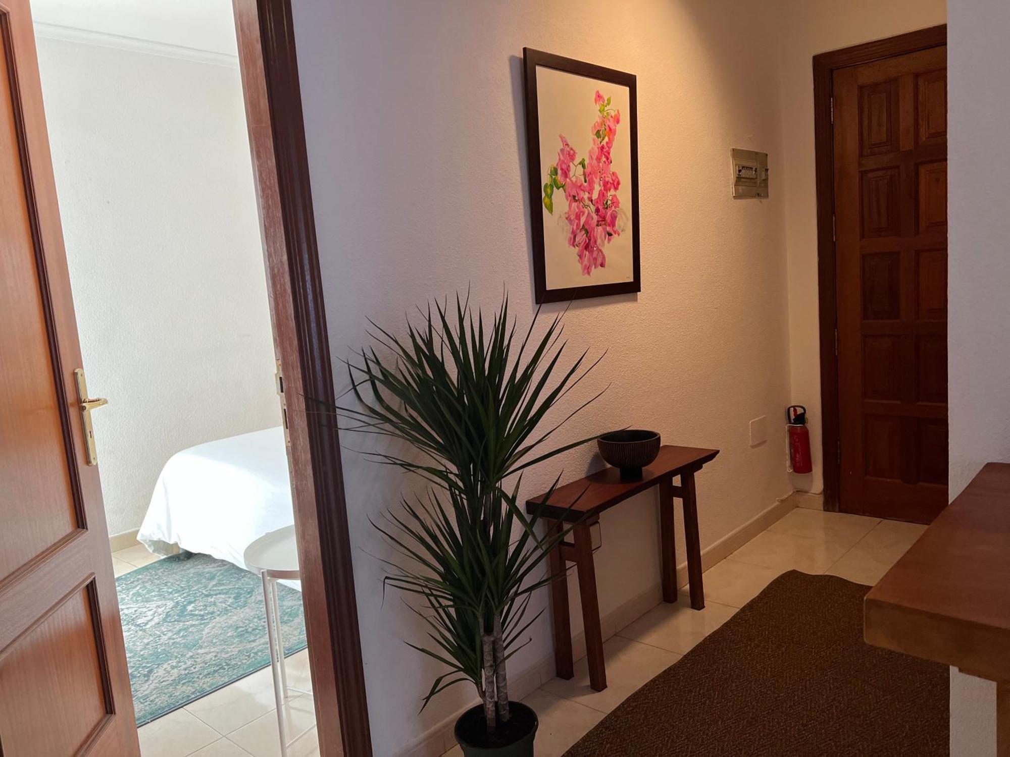 Apartmán Cozy Santa Cruz de Tenerife Exteriér fotografie